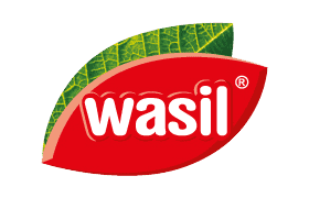 Wasil